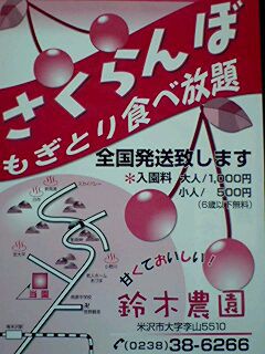 さくらんぼ農園オープン　（山形県米沢市鈴木農園）