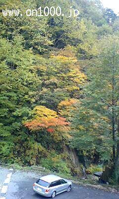 【秘湯・紅葉情報】10月20日現在の標高いいふろ