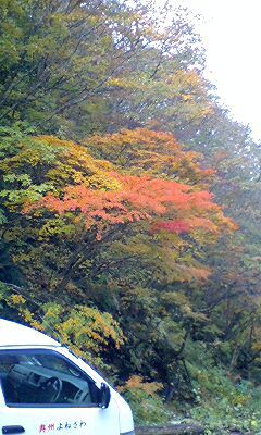 【秘湯♪紅葉情報】10月22日　キター　ミナミー