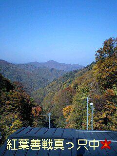 新高湯紅葉実況【10月19日現在】見事見頃にいい感じ