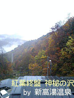 【新高湯紅葉実況10月24日】山の紅葉終盤へ