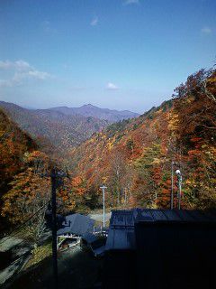 晴天の山奥紅葉【新高湯眺望】