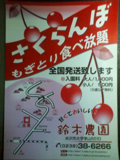 【さくらんぼ鈴木農園】もぎとり＆出荷開始しました。