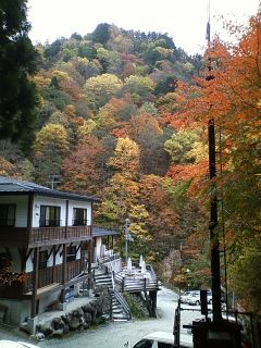 紅葉ピーク宣言【新高湯温泉　吾妻屋旅館】