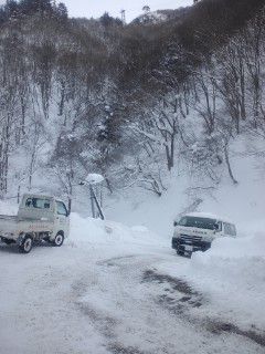 大雪？ どこ吹く風