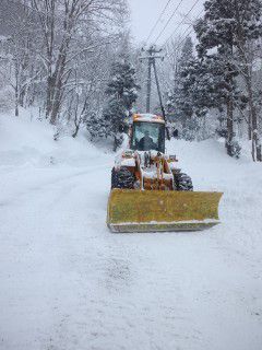 除雪ローダー イエローマンモス快調！