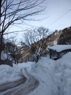 晴天５日目 眺望露天風呂から眺める雪景色