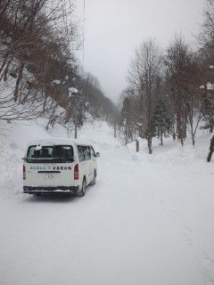 ６日ぶりの降雪 まぁ粉まぶす程度きゃな