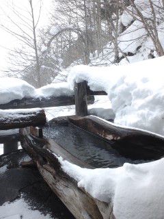 湯加減も大事　雪加減も大事　ってっ