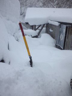 温泉力融雪の研究　セガール博士