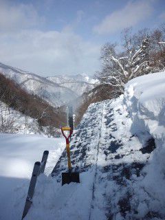 山は大丈夫です。