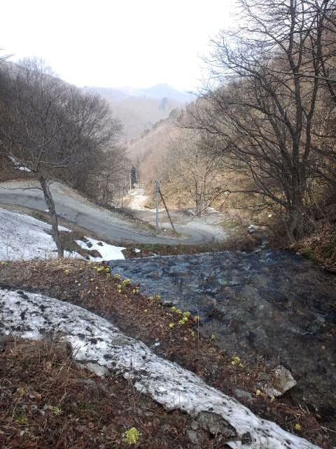 雄大なる兜山を望みフキノトウを愛でる。（新高湯アングル）