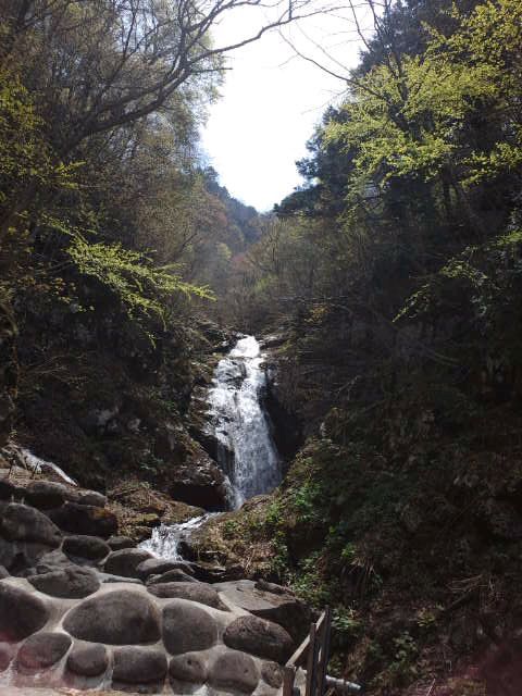 【西吾妻 白金の滝】を浴びながら風呂に浸かる。