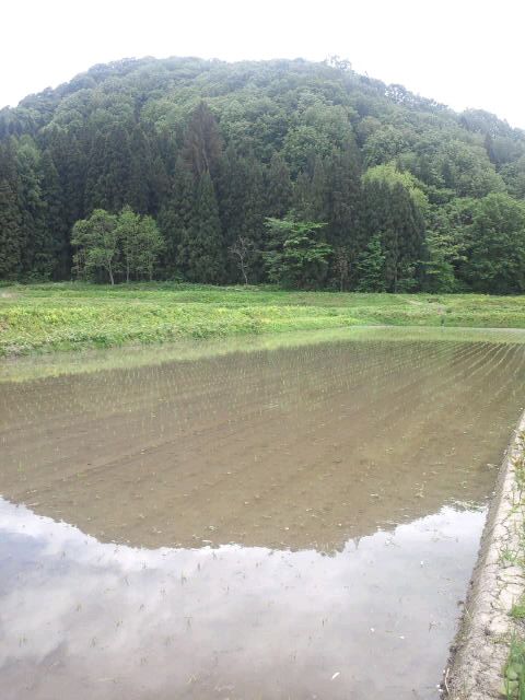 田植え完了した山間部（ビバリー関地区）