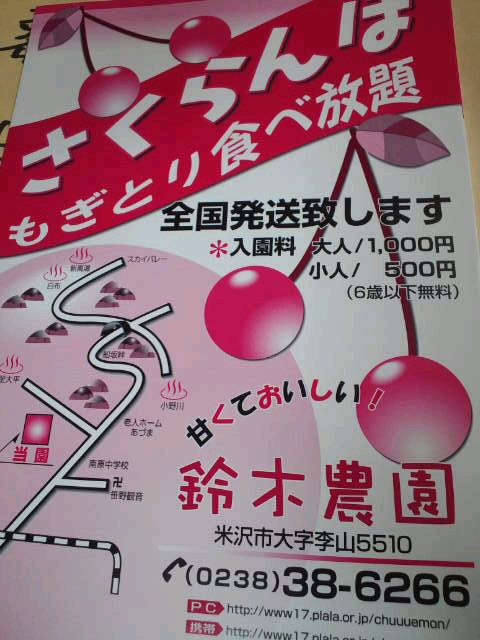 【さくらんぼ情報】鈴木農園6/18～開園！待ってましたァ～