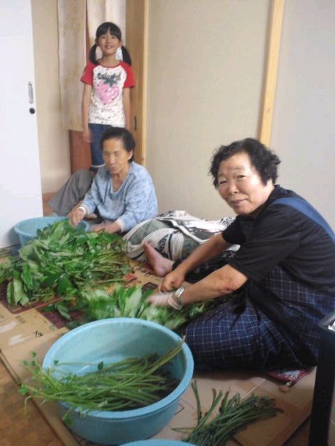 山奥かぁちゃん手料理の影にばぁちゃんアリ