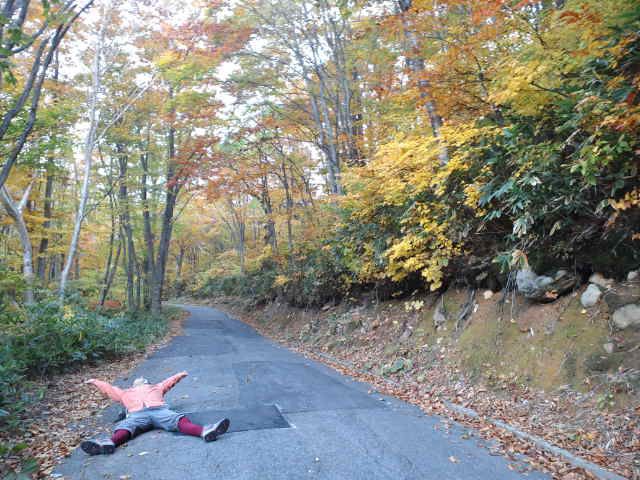 【東吾妻エリア】姥湯の道路で力尽きる5秒前