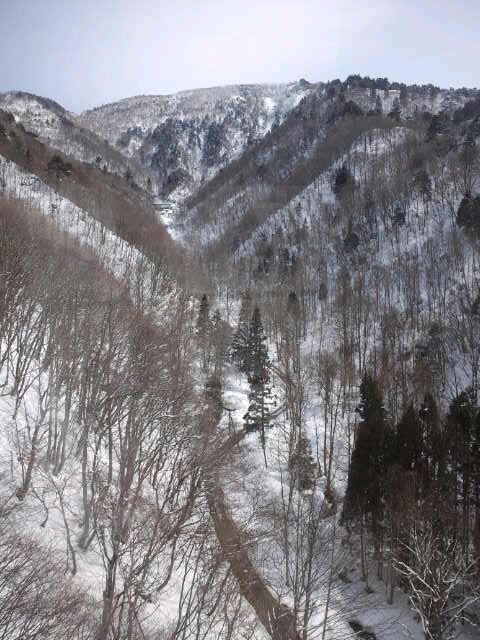 これが山奥の状況です。（画像は4月2日）