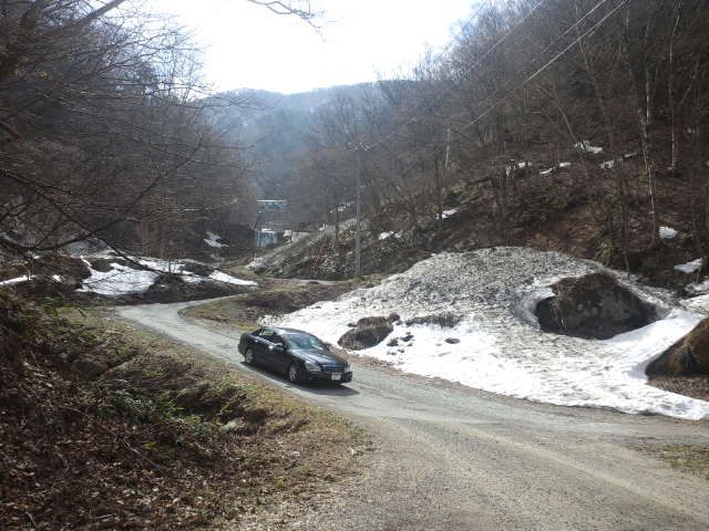 桜咲く　米沢の山　フキノトウ　（山奥の細道より）