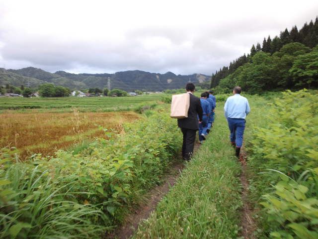 あぜ道を歩く“足元観光”。それとも酔い覚まし・・・