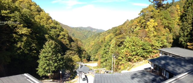 【動撮シリーズ】新高湯紅葉10月17日のリアル