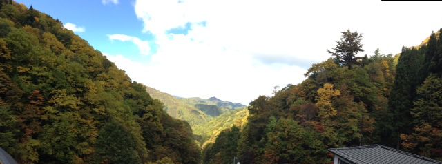 【動撮シリーズ】新高湯紅葉10月19日のリアル！