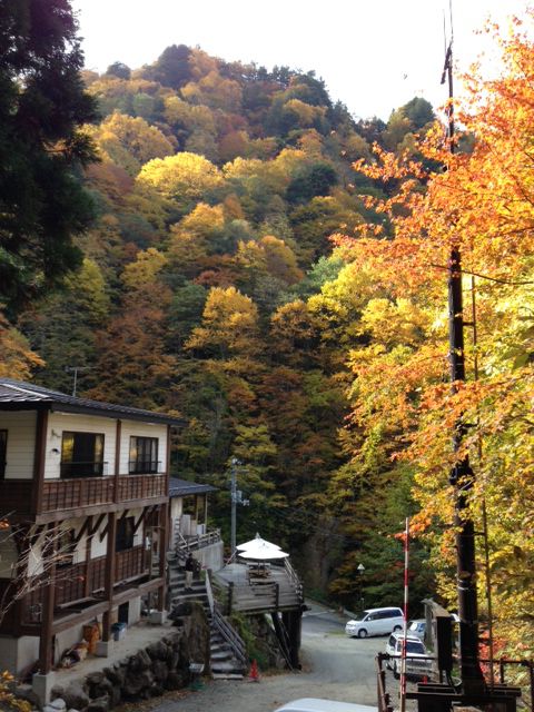 【動撮シリーズ】新高湯紅葉10月24日のリアル！