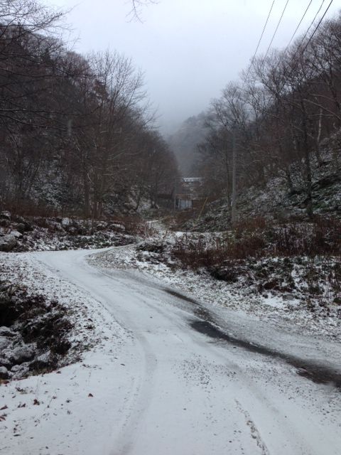 サラッと雪積もる風情の中心で◯◯を叫ぶ！