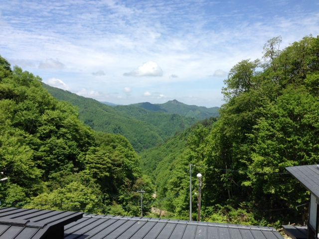 西吾妻山にグリーン季到来！