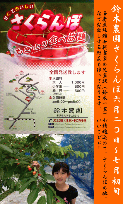 【続報】鈴木農園さくらんぼ　６月２０日～