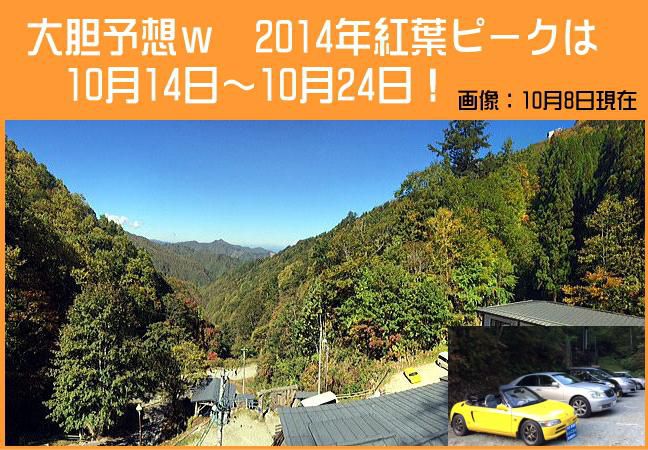 今年の紅葉状況　2014年10月8日現在