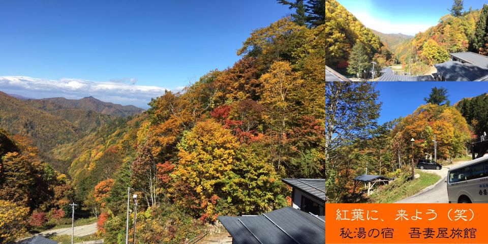 満を持しての紅葉情報2015　秘湯の宿編