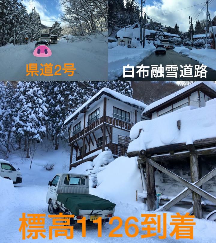 雪が大盛りになって来ました！　