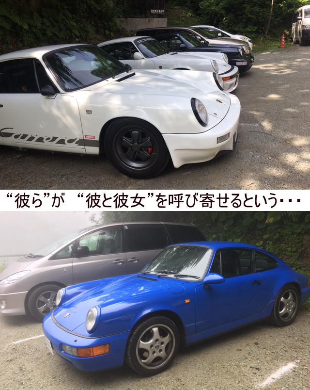 ポルポルはポルを呼ぶ・・・標高1126ｍ