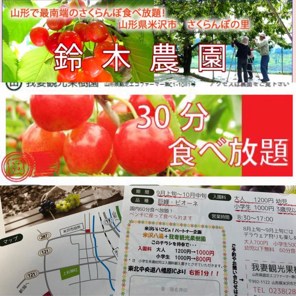 さくらんぼ【開園6/15～6/30】入園割引と、さらに！！！　