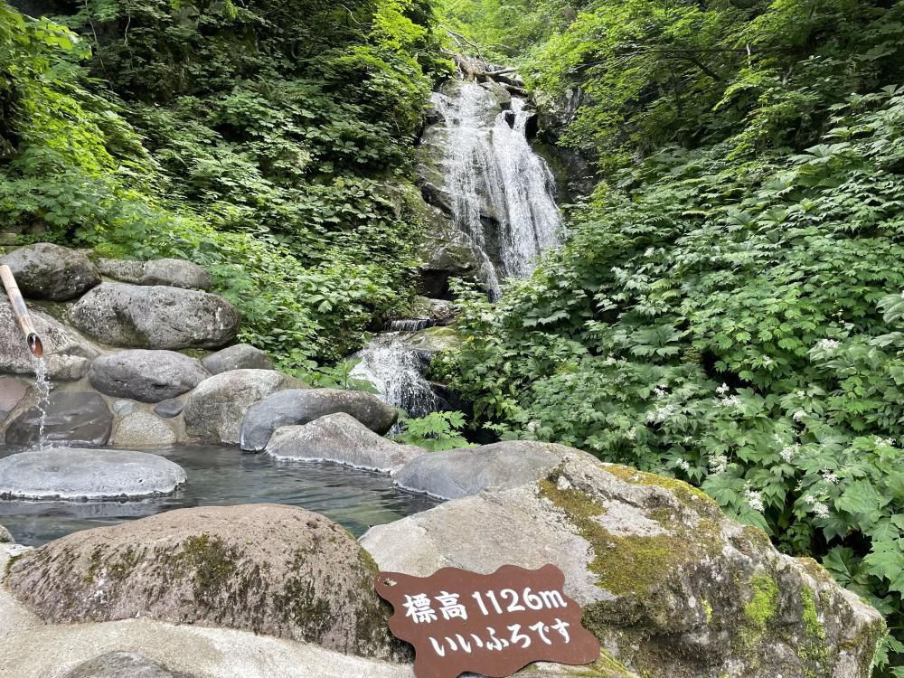 残念ながら梅雨明け・・・（か弱き自然の代弁者なのか？！）