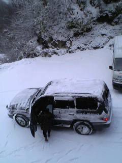 降雪3㎝(+_+)