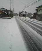 市内にも雪！