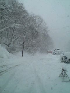 雪過ぎ？！