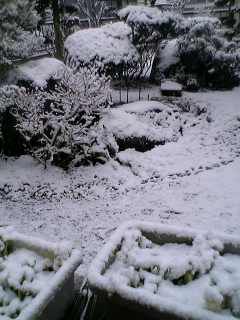 大雪f^_^;