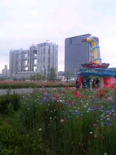 フジテレビを望む