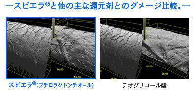 新メニューのご案内④