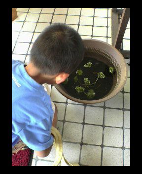 スープカレー　釣り名人