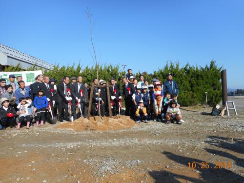 記念の植樹