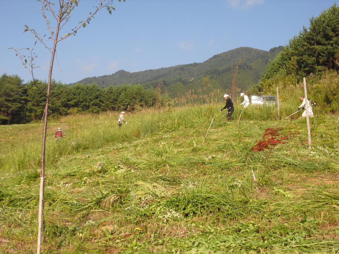 縄文の森・片倉山にて