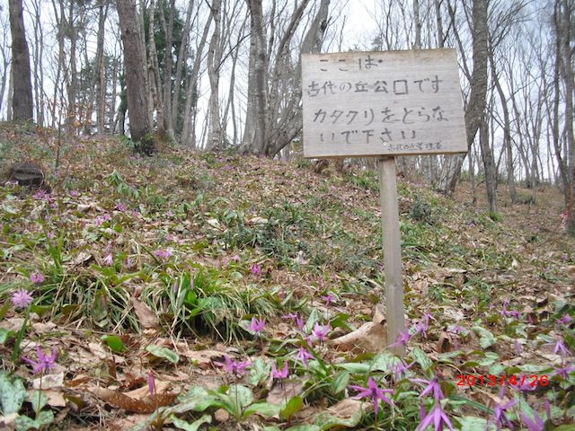 西根・古代の丘、春の幕開けです