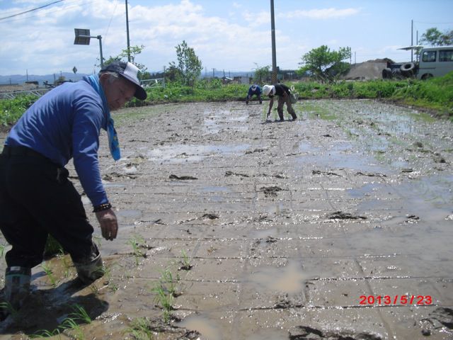 わらじプロジェクトのスタート