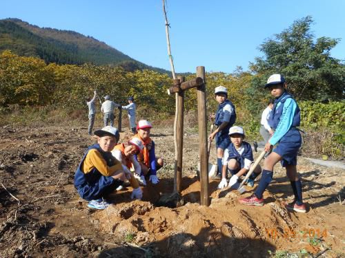 記念の植樹