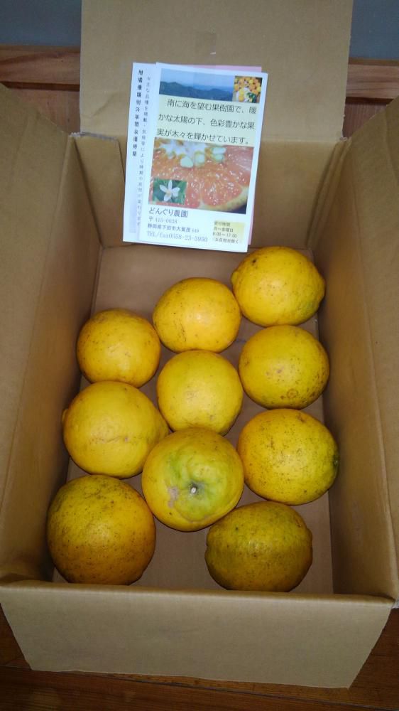 伊豆下田の野田さんありがとう