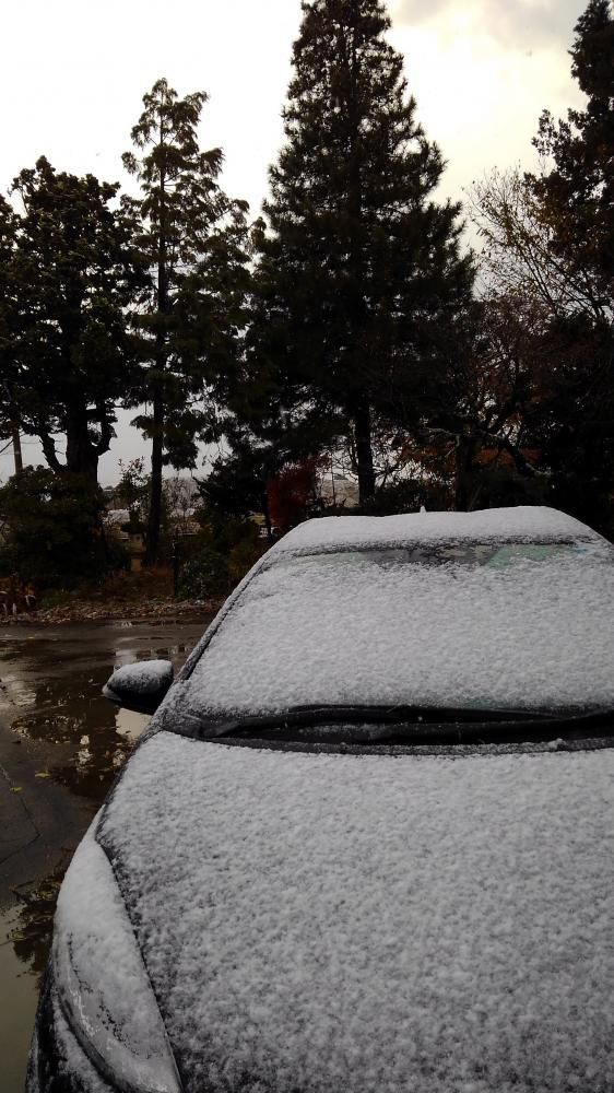 ついに初雪到来す